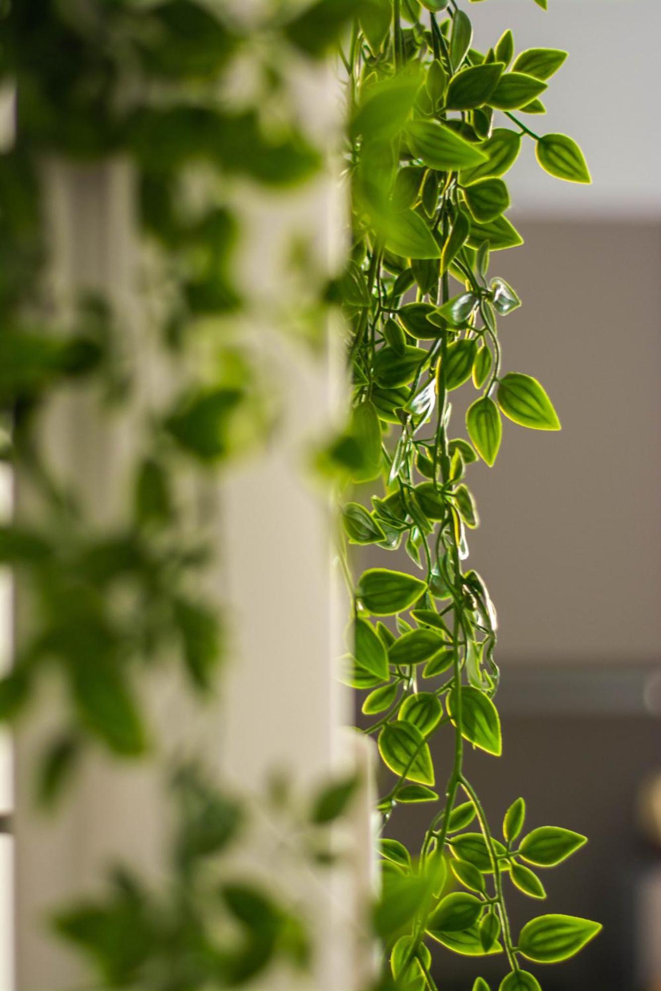 Apartmán Domus Eroi Řím Exteriér fotografie